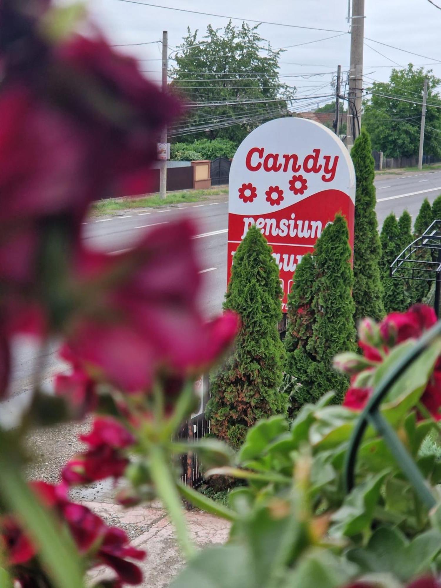 Candy Pensiune&Restaurant Dumbrava Roşie Dış mekan fotoğraf